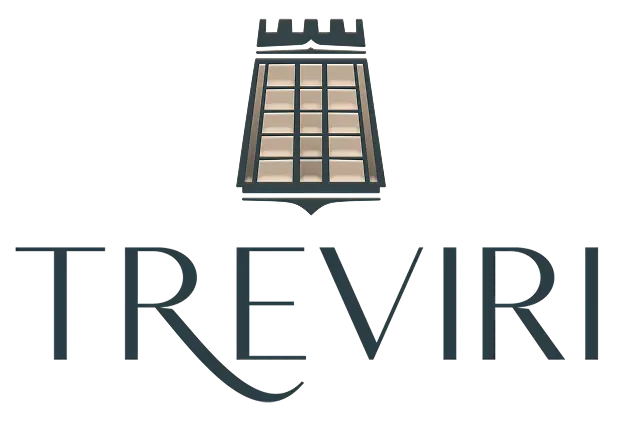 Logotipo Oficial Treviri - azul